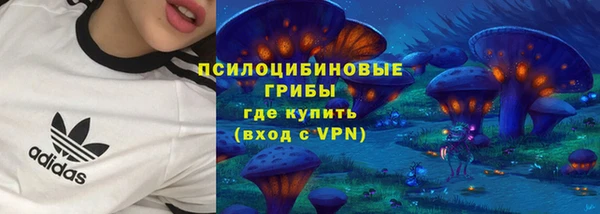 2c-b Липки