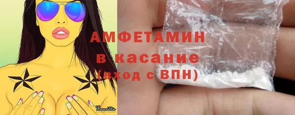 шишки Магас