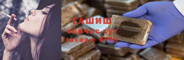 шишки Магас