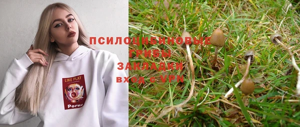 2c-b Липки