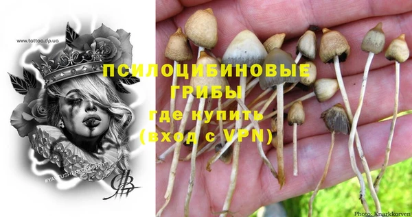 шишки Магас