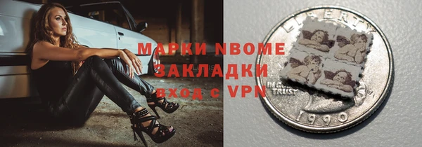 шишки Магас