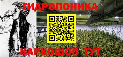 гашик Бийск