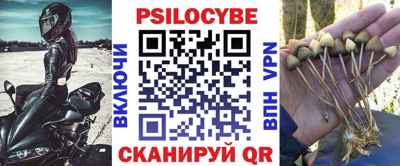 Галлюциногенные грибы Psilocybe  мега ТОР  Домодедово  продажа наркотиков 