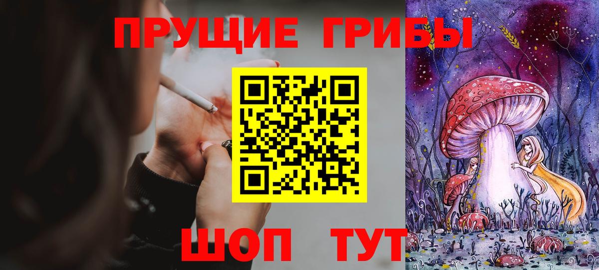 Галлюциногенные грибы Psilocybe Домодедово