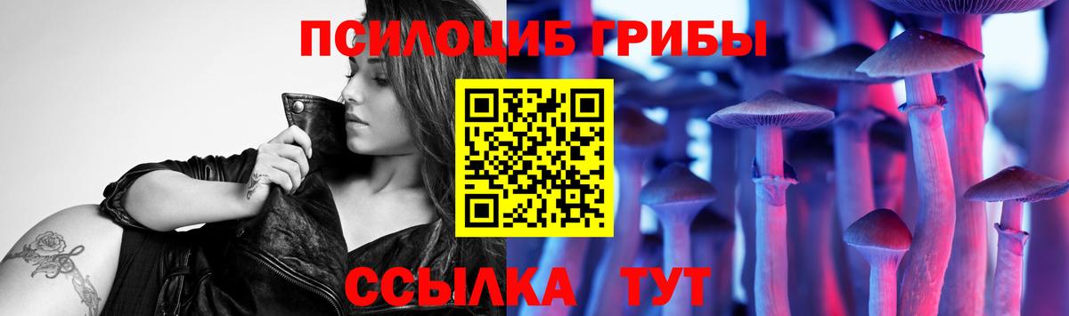 Галлюциногенные грибы Psilocybine cubensis Домодедово